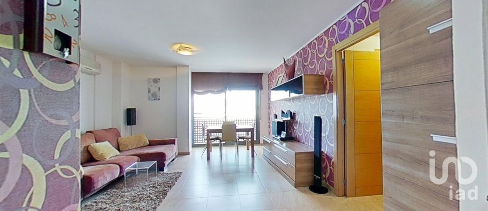 Duplex 3 chambres de 96 m² à Deltebre (43580)