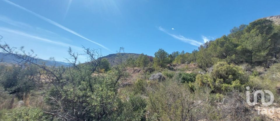 Terreny de 20.472 m² a La Romana (03669)