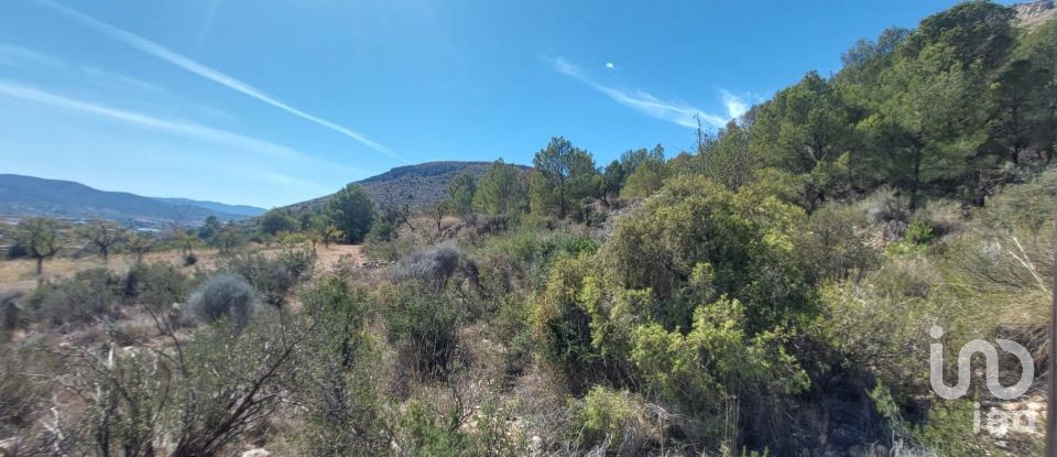 Terreny de 20.472 m² a La Romana (03669)