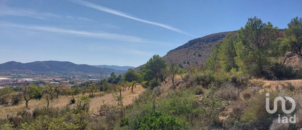 Terreny de 20.472 m² a La Romana (03669)