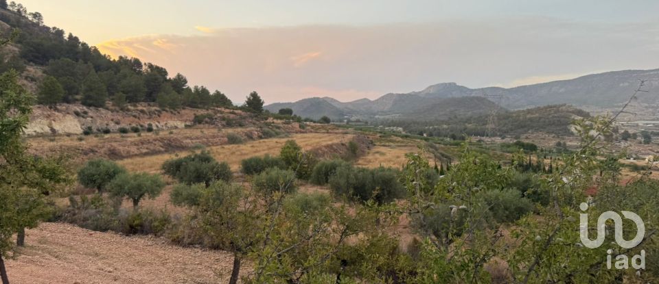 Terreny de 20.472 m² a La Romana (03669)