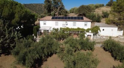 Casa rústica 5 habitacions de 256 m² a Montefrío (18270)