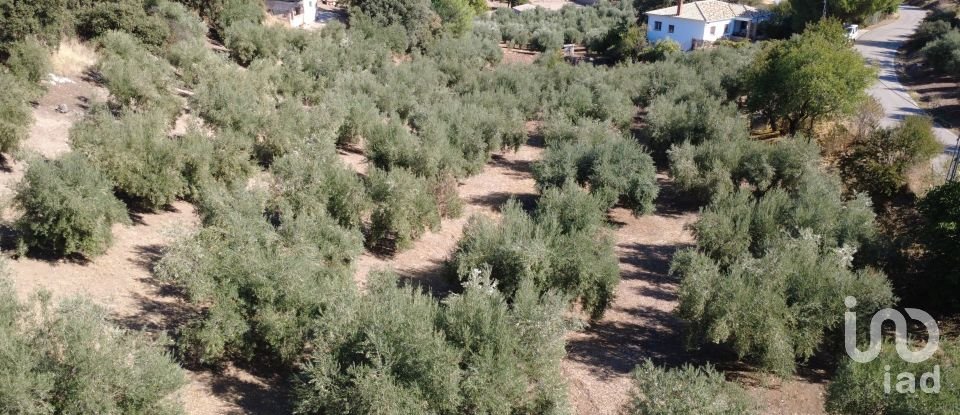 Casa rústica 5 habitaciones de 256 m² en Montefrío (18270)