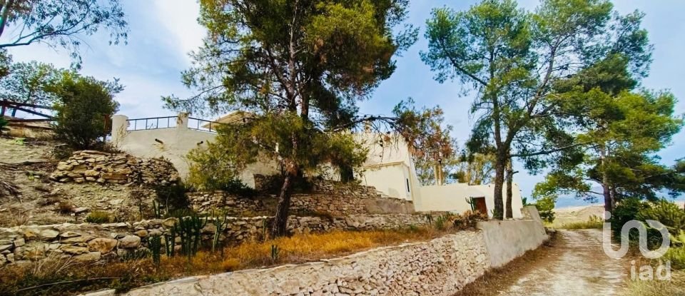 Terreny de 24.000 m² a Xixona (03100)