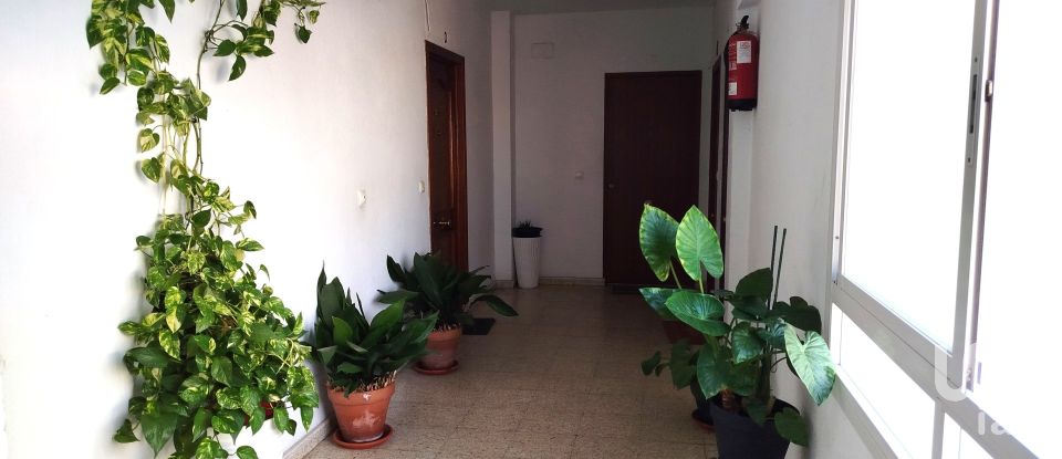 Apartment 3 bedrooms of 77 m² in Talavera de la Reina (45600)