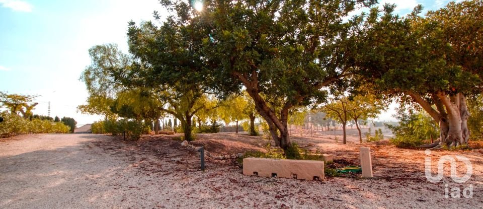 Chalet 5 habitaciones de 420 m² en Albatera (03340)