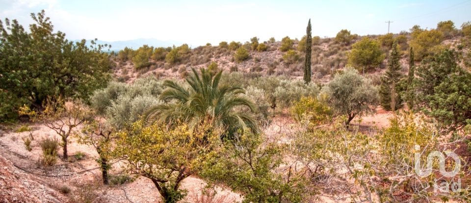 Chalet 5 habitaciones de 420 m² en Albatera (03340)