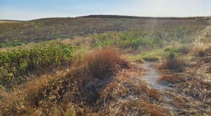 Farm land of 77,497 m² in Écija (41400)