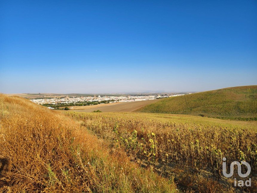 Terreno agricola de 77.497 m² en Écija (41400)