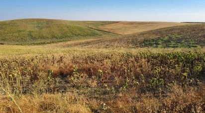 Farm land of 77,497 m² in Écija (41400)