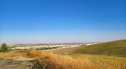 Farm land of 77,497 m² in Écija (41400)