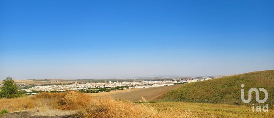 Terreno agricola de 77.497 m² en Écija (41400)
