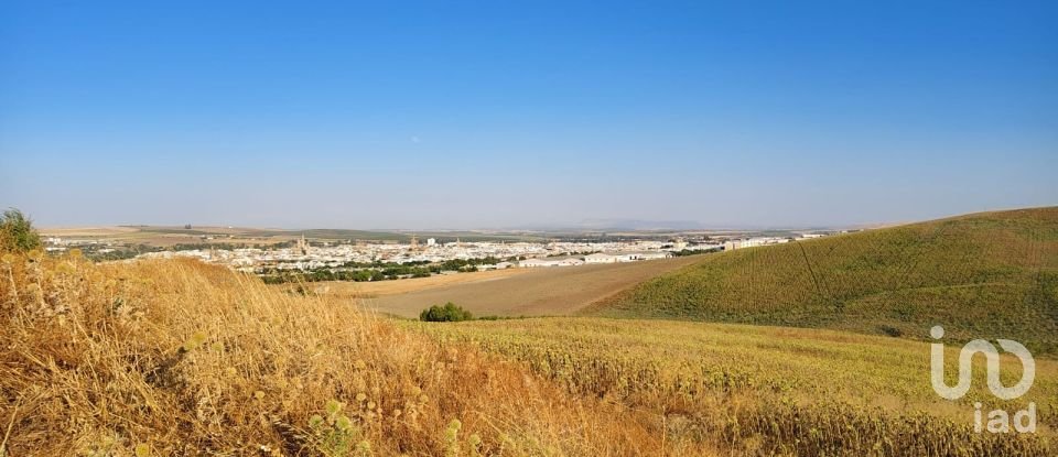 Terreno agricola de 77.497 m² en Écija (41400)