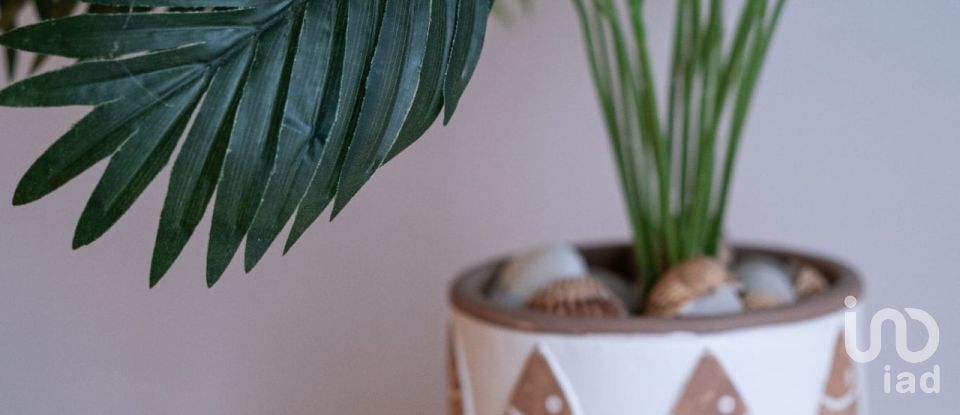 Appartement 1 chambre de 40 m² à Torremolinos (29620)