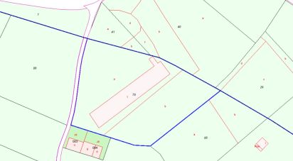 Farm land of 6,545 m² in Sant Jaume dels Domenys (43713)