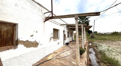 Building plot of 1,577 m² in Deltebre (43580)