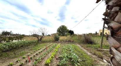 Building plot of 1,577 m² in Deltebre (43580)