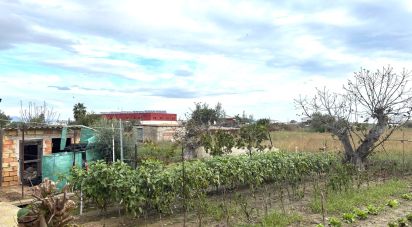 Building plot of 1,577 m² in Deltebre (43580)