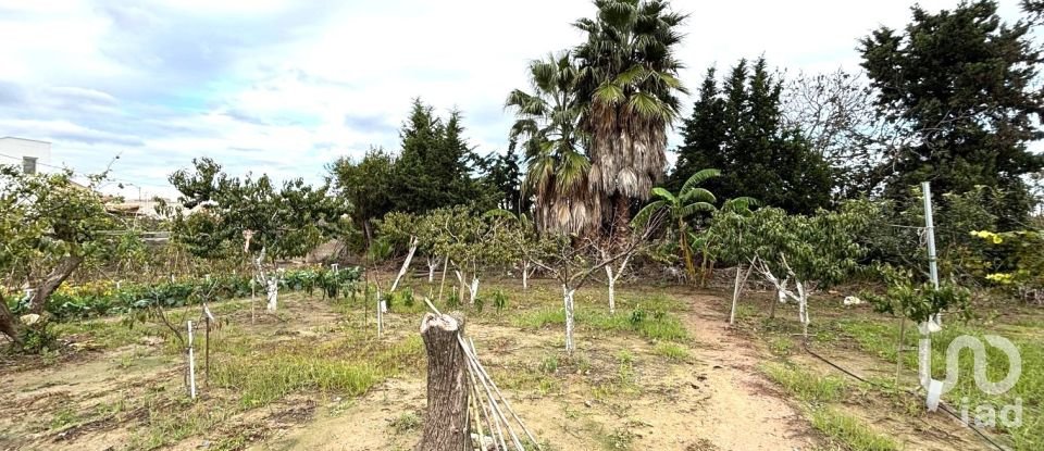 Terreno urbano de 1.577 m² en Deltebre (43580)