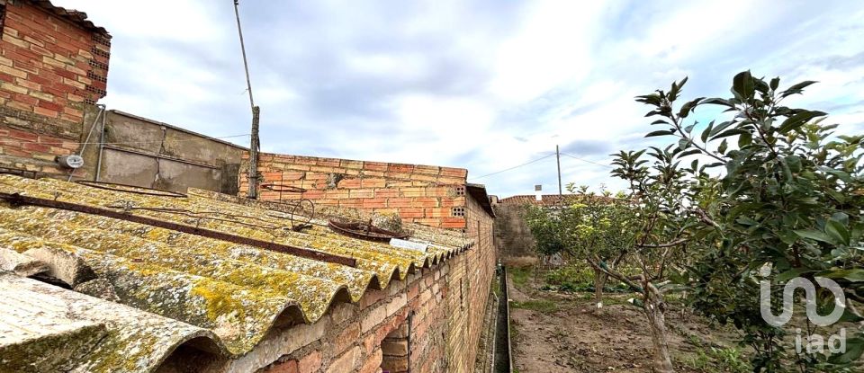 Terreno urbano de 1.577 m² en Deltebre (43580)