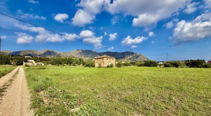 Land of 12,717 m² in Beniarbeig (03778)