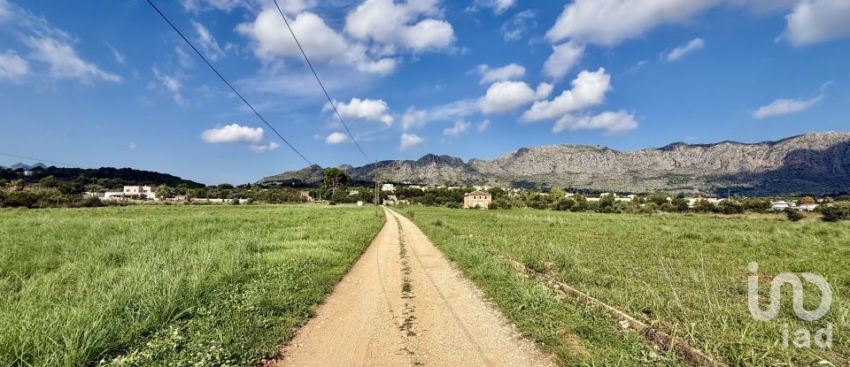 Land of 12,717 m² in Beniarbeig (03778)