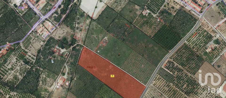 Land of 12,717 m² in Beniarbeig (03778)