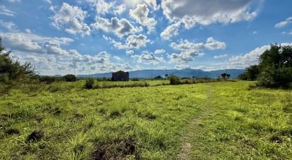 Land of 31,480 m² in Beniarbeig (03778)