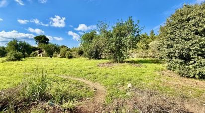 Land of 31,480 m² in Beniarbeig (03778)