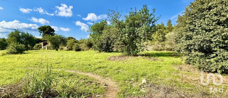 Land of 31,480 m² in Beniarbeig (03778)