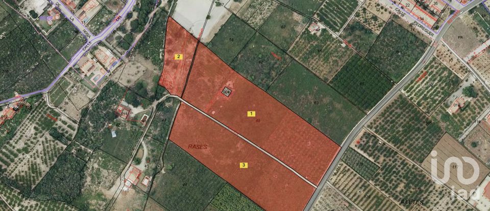 Land of 31,480 m² in Beniarbeig (03778)