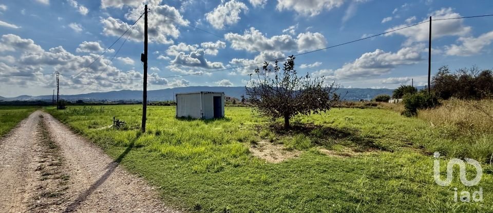 Land of 18,763 m² in Beniarbeig (03778)