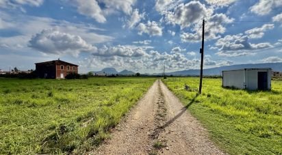 Land of 18,763 m² in Beniarbeig (03778)