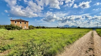 Land of 18,763 m² in Beniarbeig (03778)