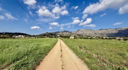 Land of 18,763 m² in Beniarbeig (03778)