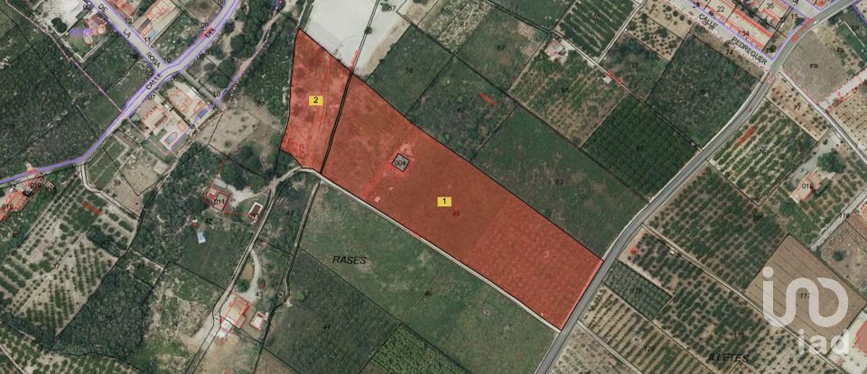 Land of 18,763 m² in Beniarbeig (03778)