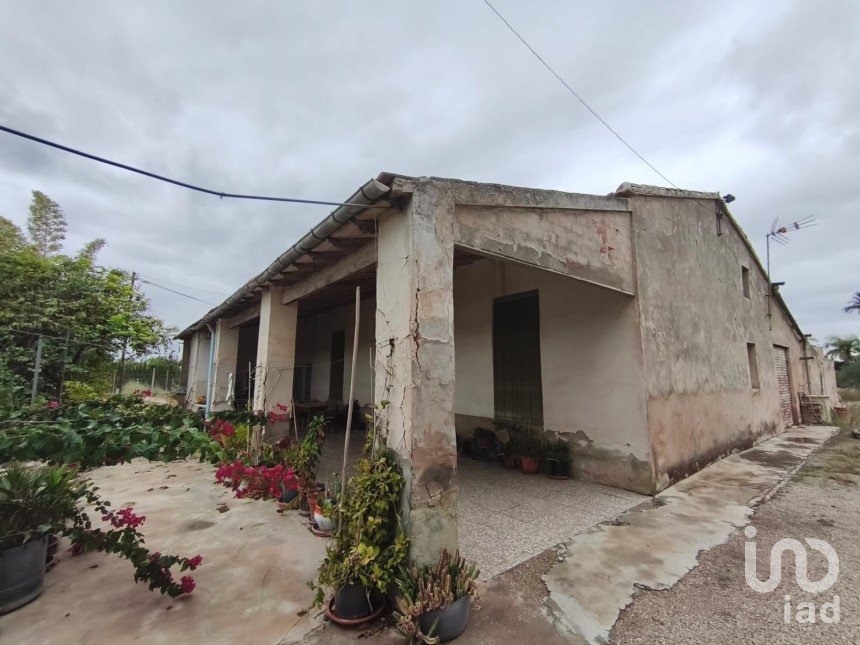 Casa rústica 5 habitaciones de 216 m² en Elx/Elche (03296)