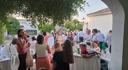 House 8 bedrooms of 606 m² in Villalba del Alcor (21860)