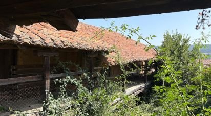 Maison de village 0 chambre de 241 m² à Campo y Santibañez (24610)