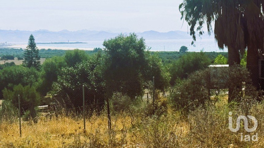 Terreno de 4.185 m² en Tarifa (11380)