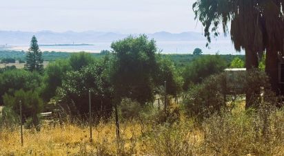 Terreno de 4.185 m² en Tarifa (11380)