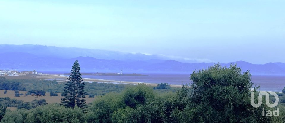 Terreno de 4.185 m² en Tarifa (11380)