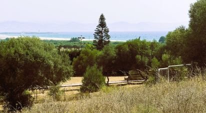 Terreno de 4.185 m² en Tarifa (11380)