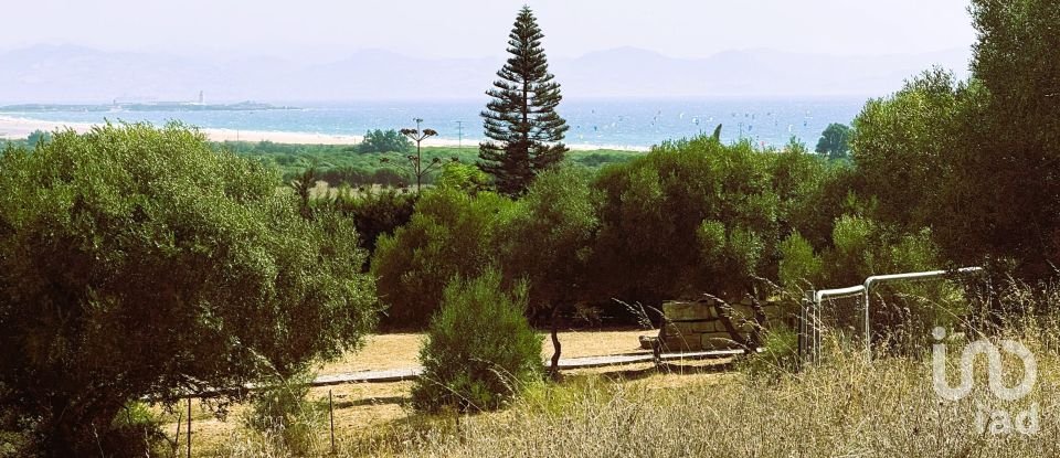 Terreno de 4.185 m² en Tarifa (11380)