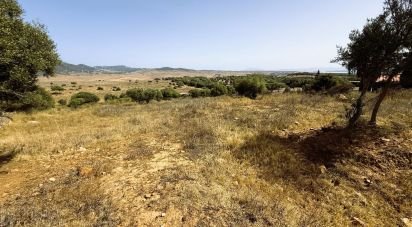 Terreno de 4.185 m² en Tarifa (11380)