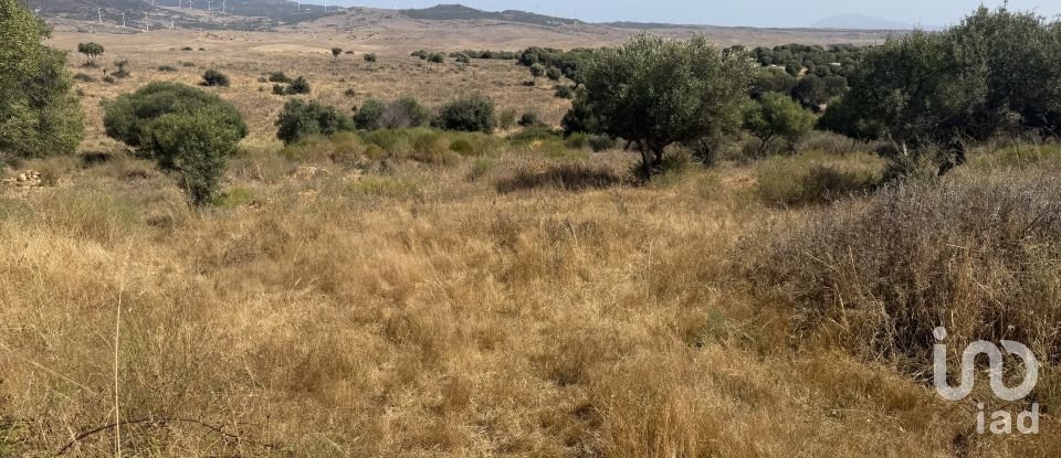 Terreno de 4.185 m² en Tarifa (11380)