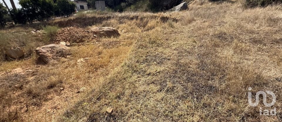 Terreno de 4.185 m² en Tarifa (11380)