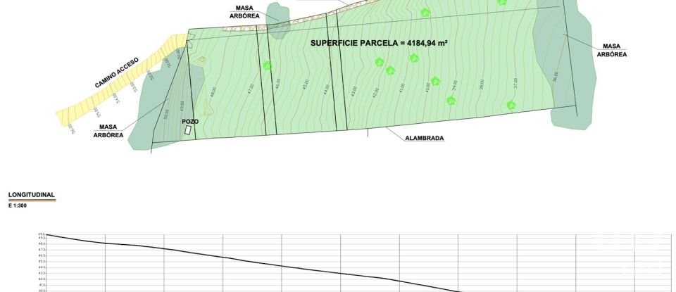 Terreno de 4.185 m² en Tarifa (11380)
