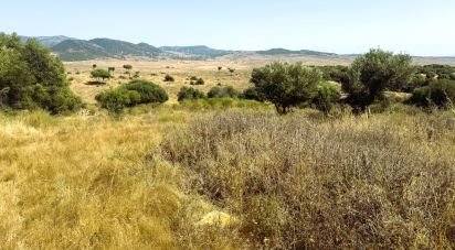 Terreno de 4.185 m² en Tarifa (11380)