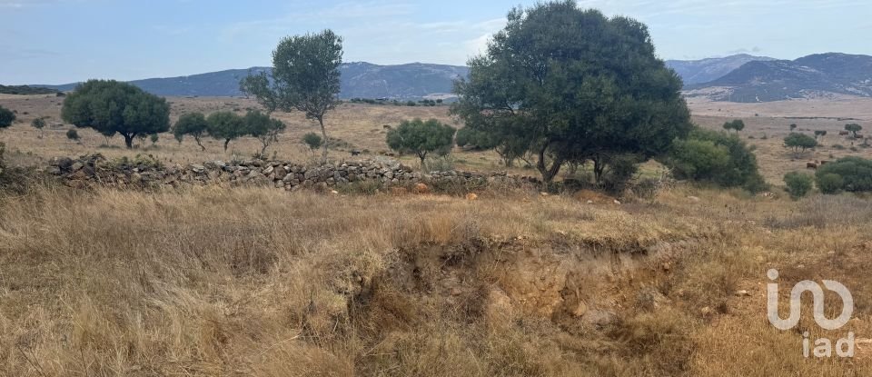 Terreno de 4.185 m² en Tarifa (11380)
